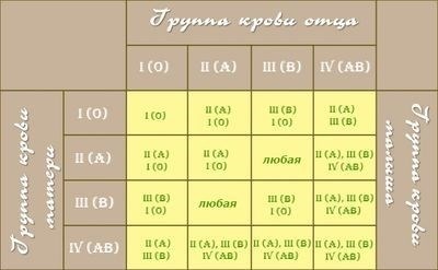 Важность резус-фактора при беременности