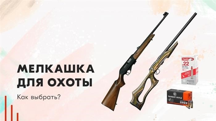 Малокалиберные винтовки для охоты: как выбрать?