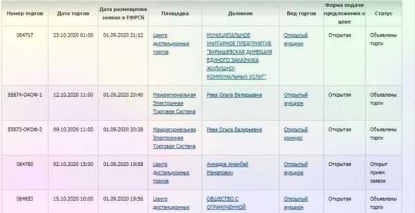 Как работать с официальным сайтом Ефрсб