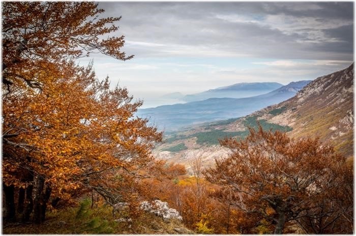 Климат Крыма для пенсионеров