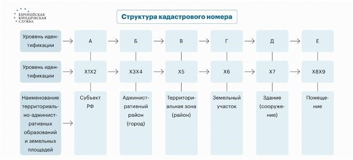 Фотографии.