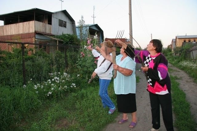 Племена и топоры не помогают войне в Даке. Лучше договариваться с соседями.