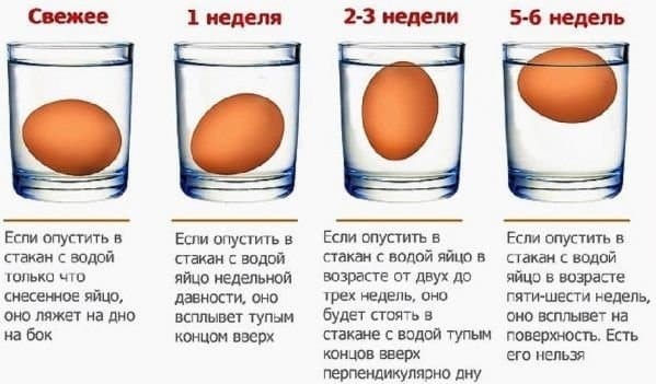 Ознакомившись с этой таблицей, вы сможете легко определить свежесть продукта.