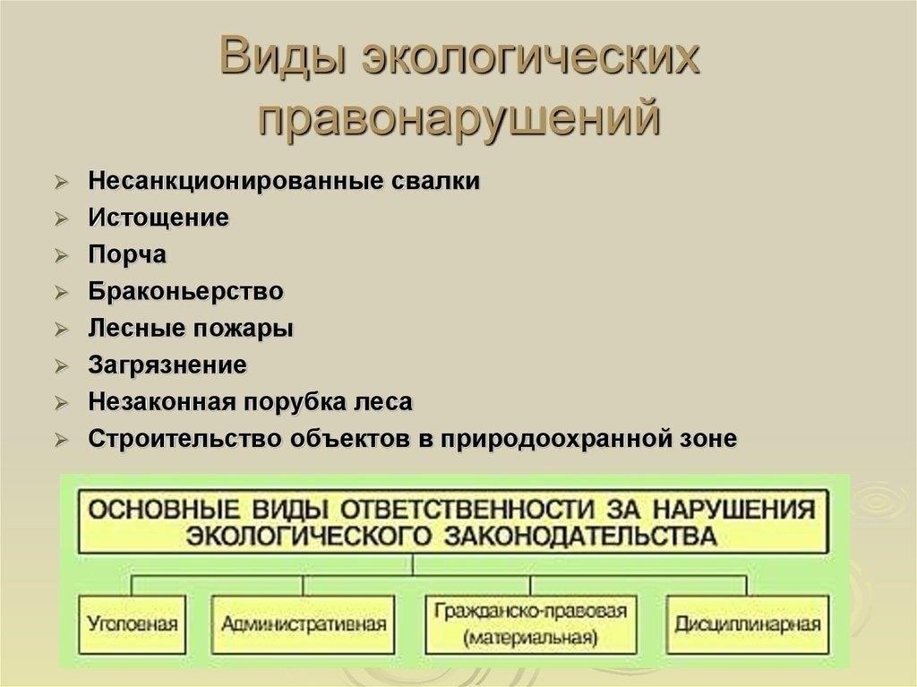 Конкретные правовые меры за экологические преступления в Скреблевском сельском поселении