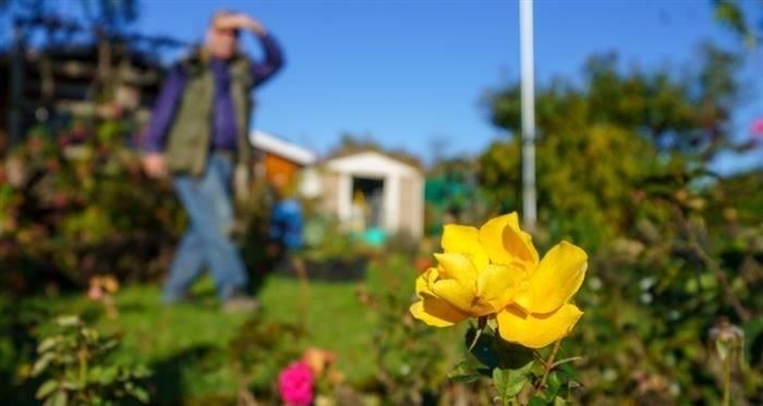 Как заявить патентный вычет в 2025 году: Условия и шаги
