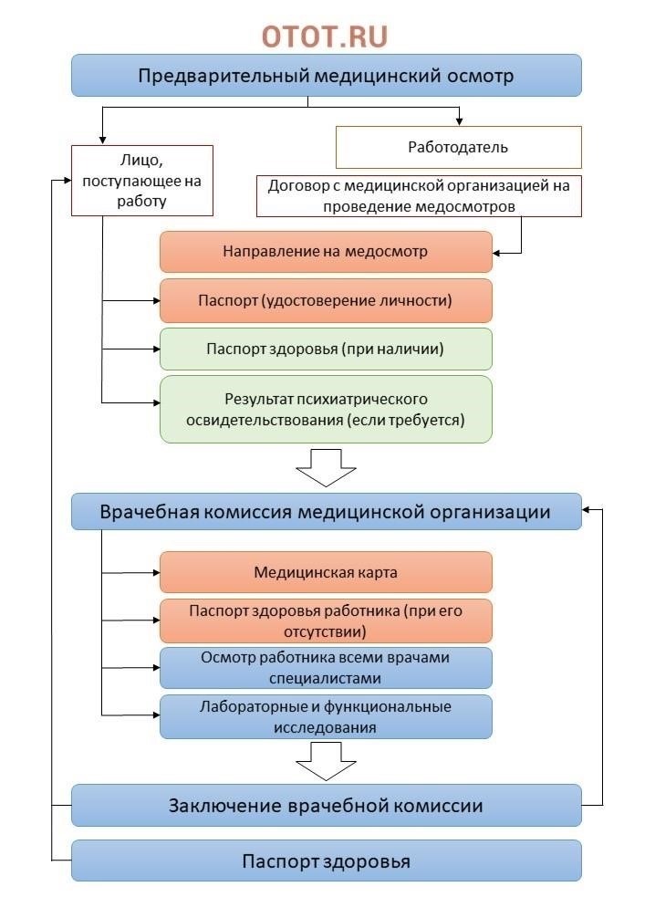 Обязательные медицинские осмотры для работников образования: Процедуры и требования