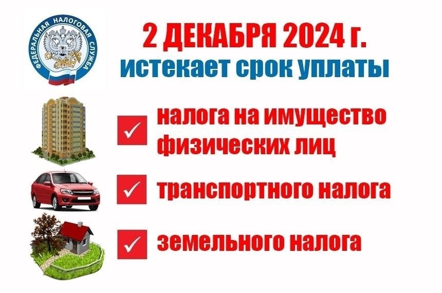 Обзор налога на продажу земли в декабре 2024 года