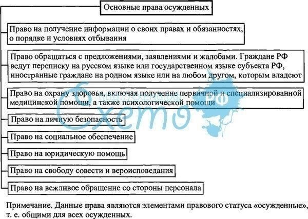 Особые условия труда осужденных, отбывающих наказание в виде лишения свободы