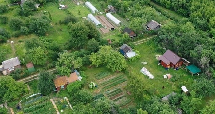 Понимание оснований для приостановления выплаты пособий по причине нерезидентства