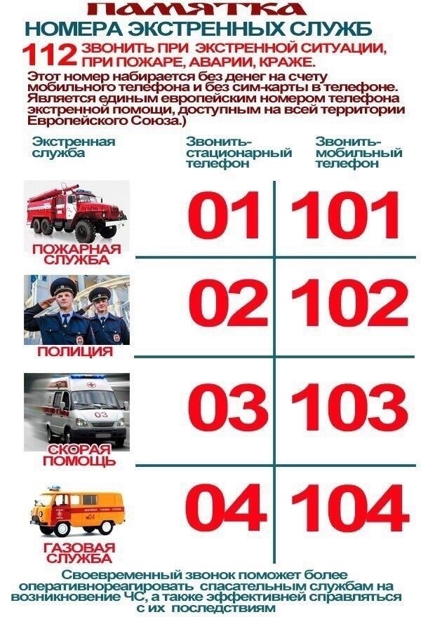 Полное руководство по поиску государственных служб и экстренной помощи