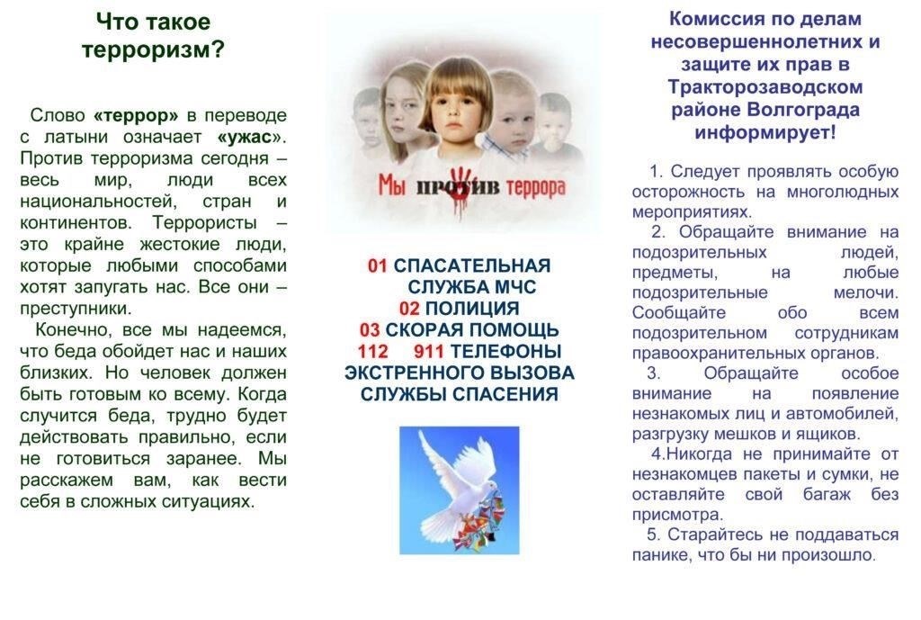 Понимание определения понятия «кража» в Зареченском районе